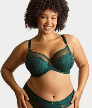 Josephine Full Coverage Lacy Bra: undefined
