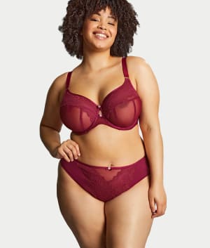 Natalia High Cut Brief: undefined