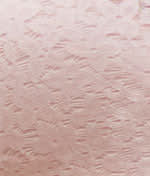 Blushing Pink