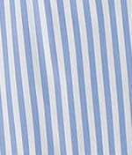 White Cloud / Hydrangea