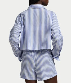 White Cloud / Hydrangea