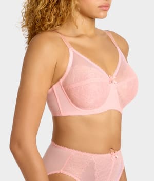 Apricot Blush