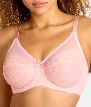 Apricot Blush