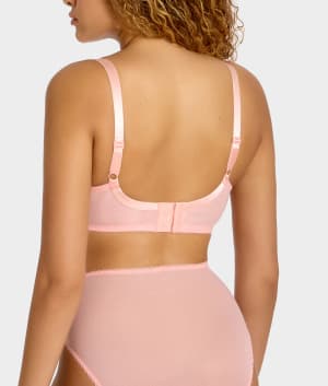 Apricot Blush