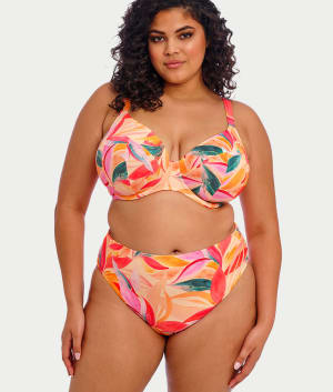 Plus Size Sancho Beach Mid Rise Bikini Bottom: undefined