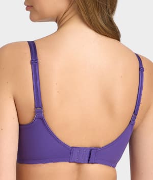 Heliotrope