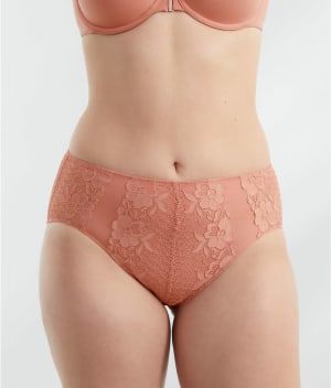 The Essential Lace Hi-Cut Brief: undefined