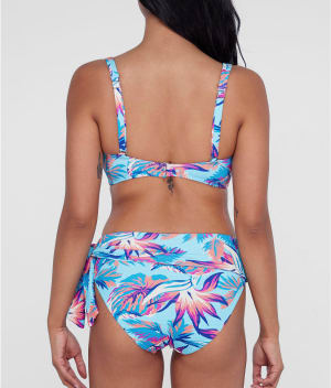 Tropical Tranquility