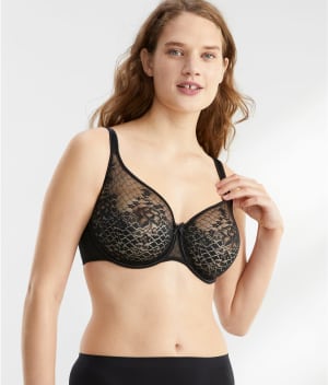 Melody Seamless Bra: undefined