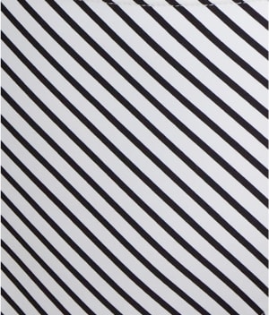 Black / White Stripe