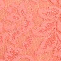 Courageous Coral