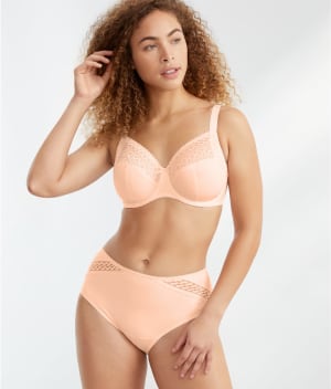 Montara Full Brief: undefined