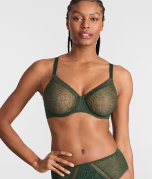 Comete Molded Underwire Bra: undefined