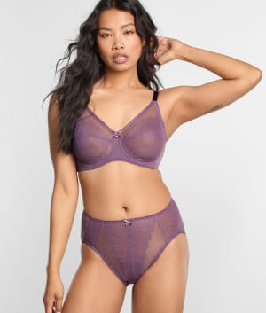 Retro Chic Hi-Cut Brief: undefined