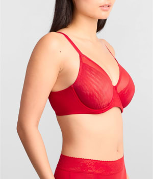 Equestrian Red